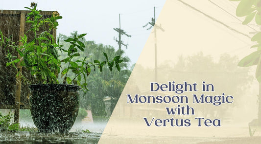 Delight in Monsoon Magic with Vertus Tea: A Tea Journey for Rainy Days VERTUS TEA