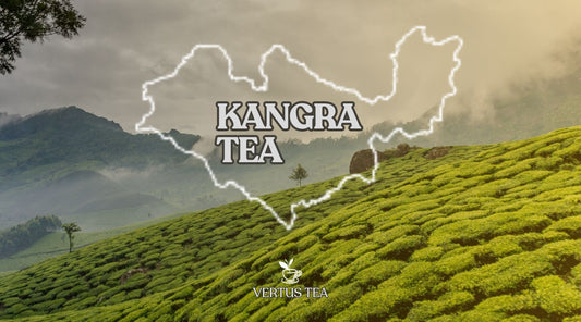 The Art of Tea Cultivation in Kangra: Where Nature and Tradition Blend VERTUS TEA