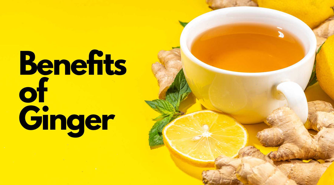 The Ginger Powerhouse: Unveiling Its Remarkable Benefits VERTUS TEA